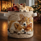 Vakantie Corgi Dromen Wasmand
